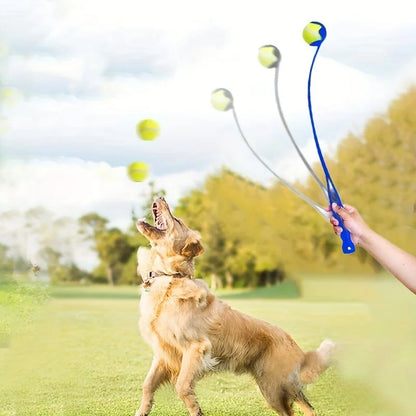 Lanzador de Pelotas para Perros