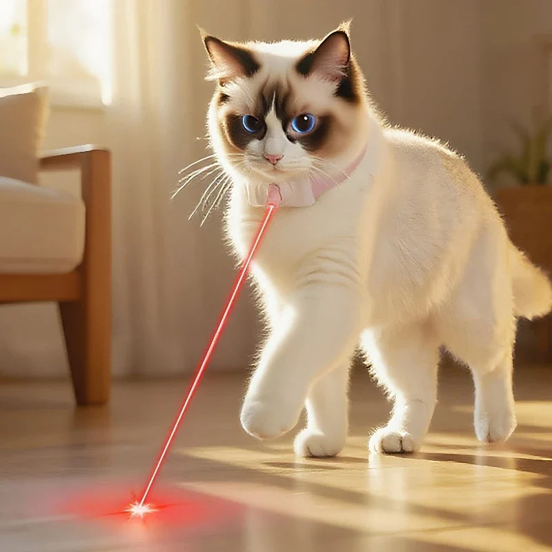 LaserPlay Collar