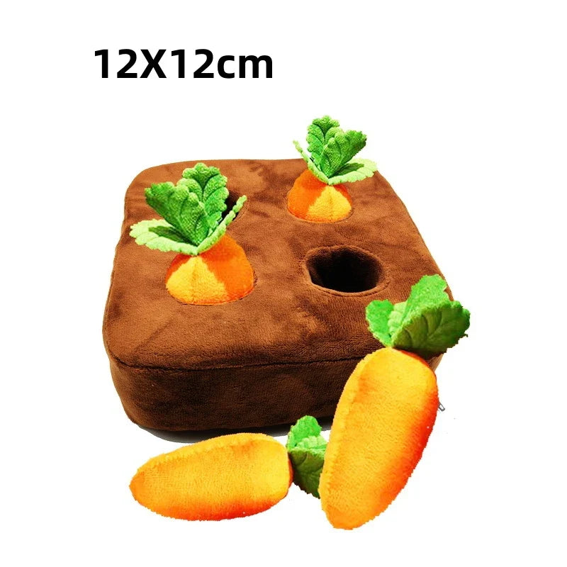 CarrotPlay