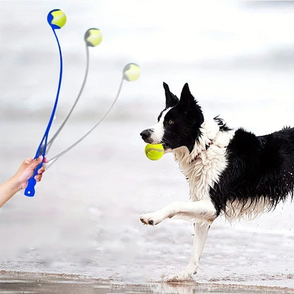 Lanzador de Pelotas para Perros