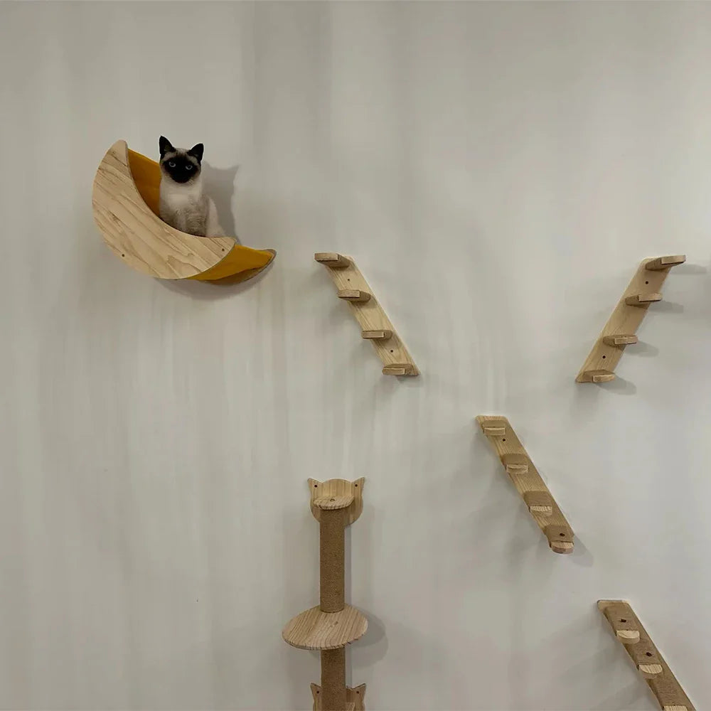 Set Escalada de Pared para Gatos