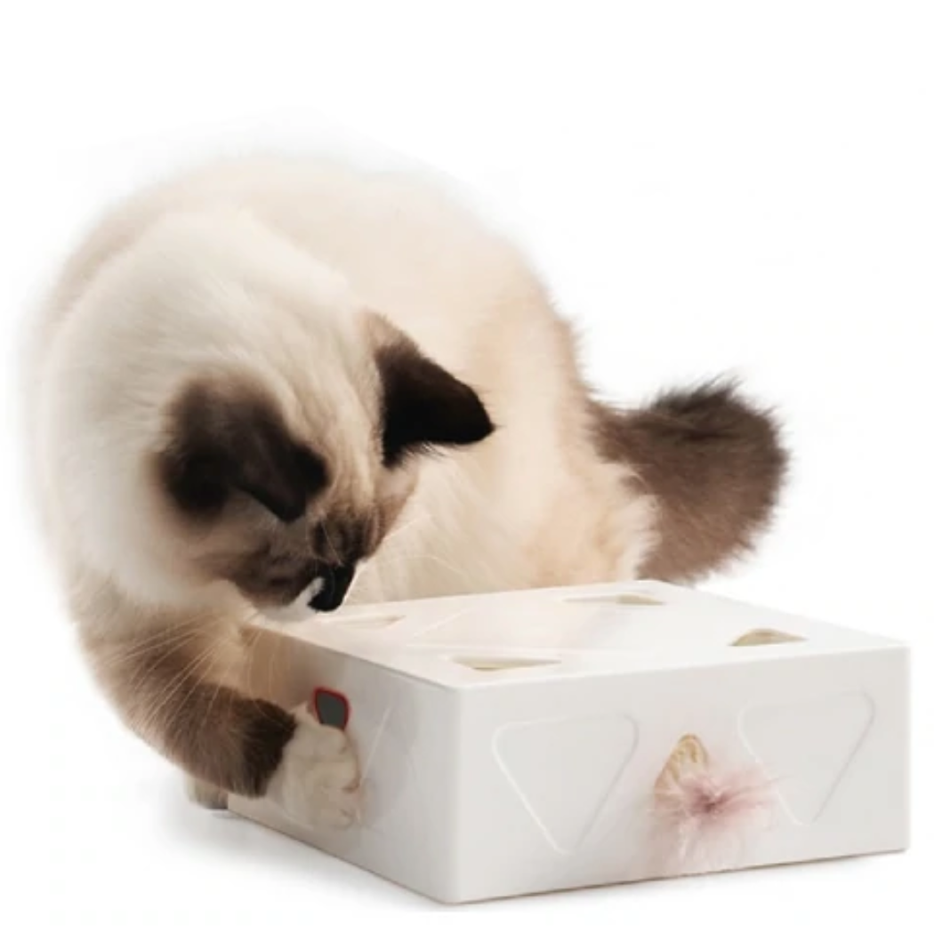 Cubo interactivo para Gatos
