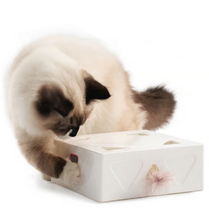 Cubo interactivo para Gatos