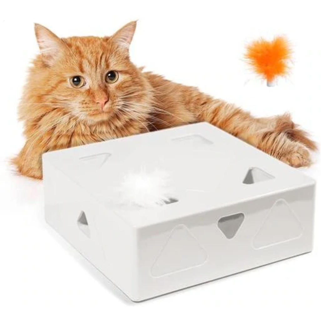 Cubo interactivo para Gatos