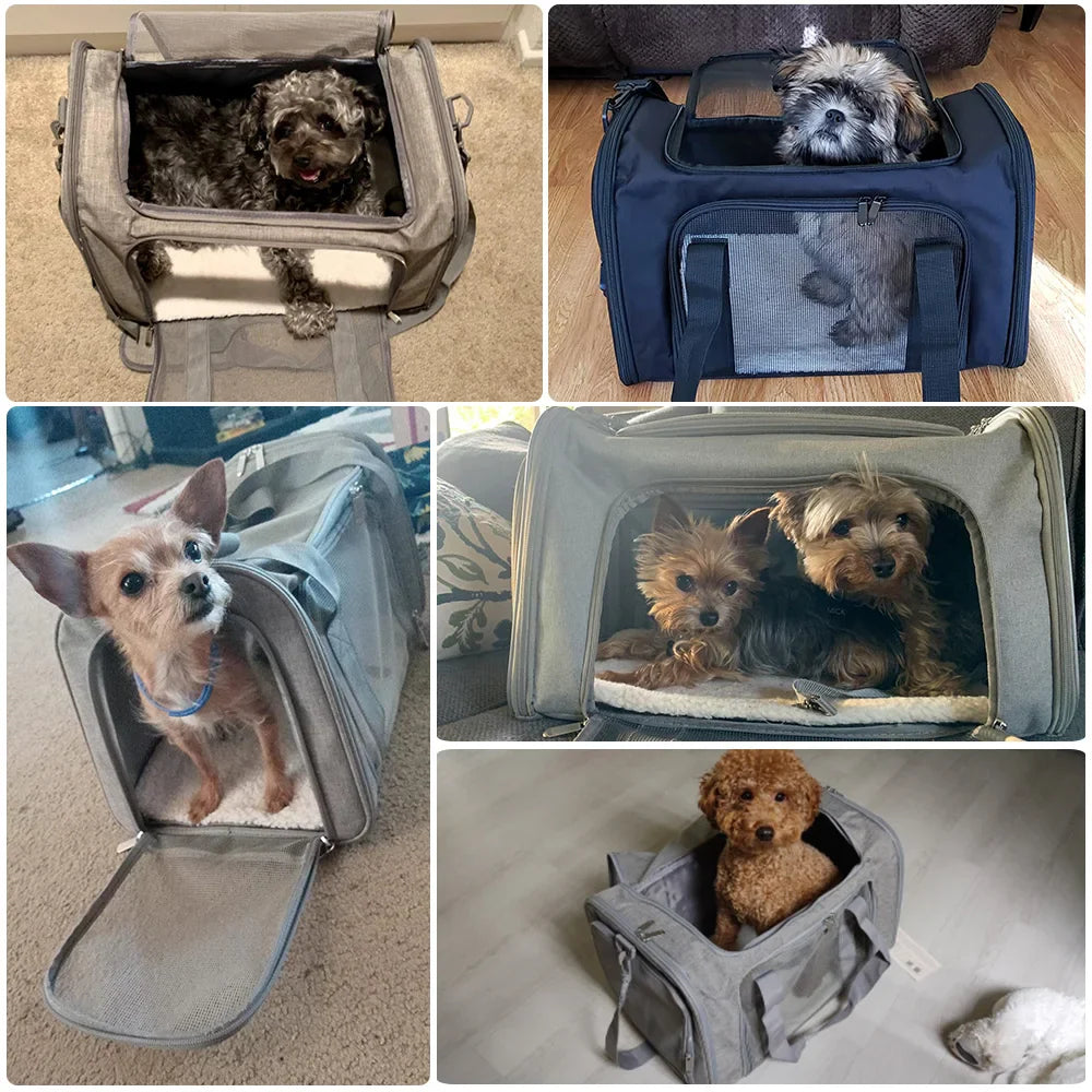 Mochila Transportadora de Mascotas