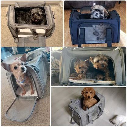 Mochila Transportadora de Mascotas