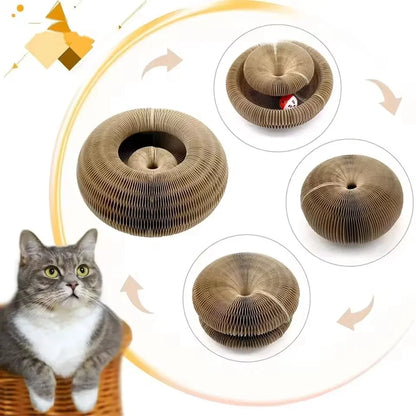 Rascador + Juego para Gatos