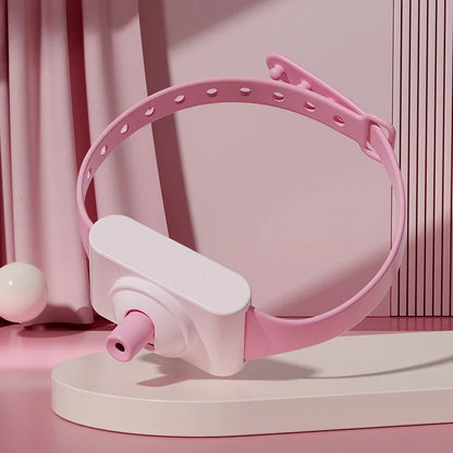 LaserPlay Collar