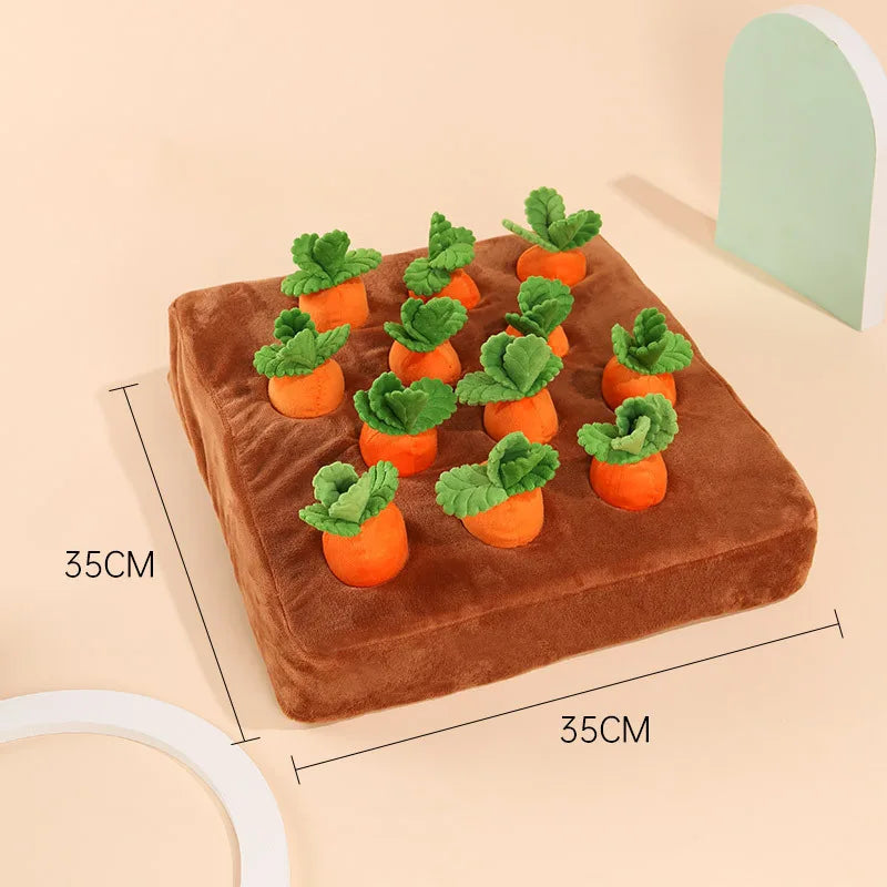 CarrotPlay