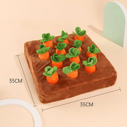CarrotPlay