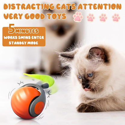 Pelota Dinámica con Cola Para Gatos
