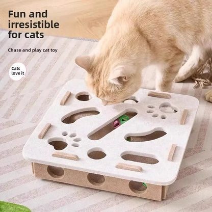 CatPuzzle