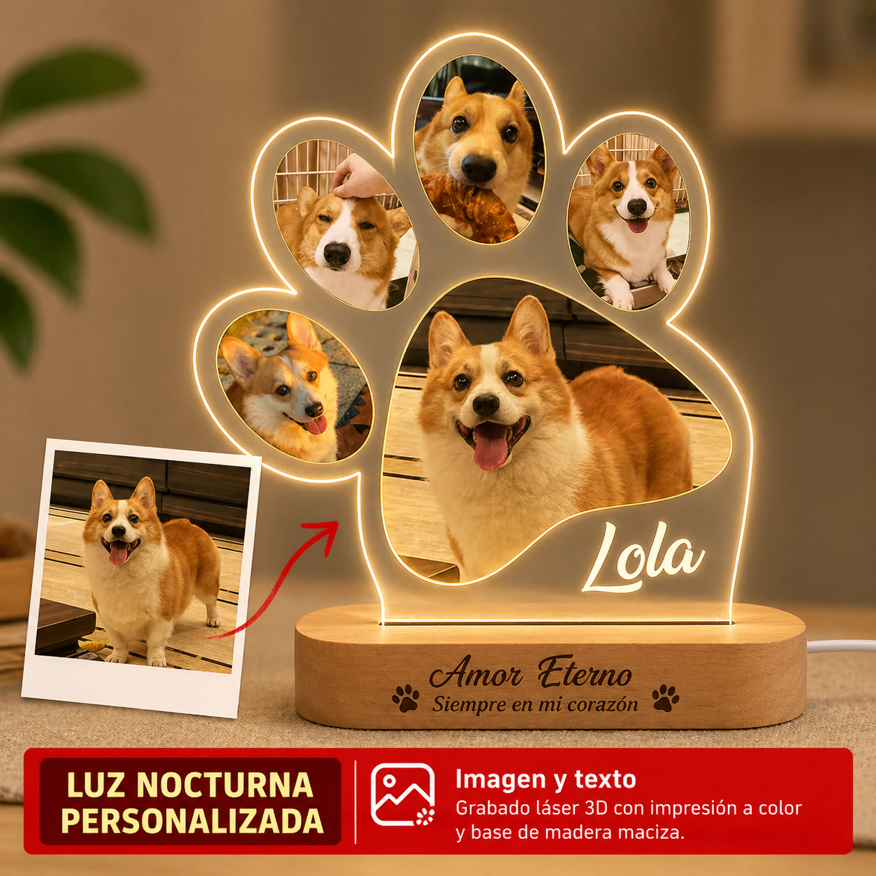 Siempre Contigo Lámpara Personalizada Mascotas