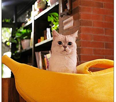 Cama de plátanos para mascotas