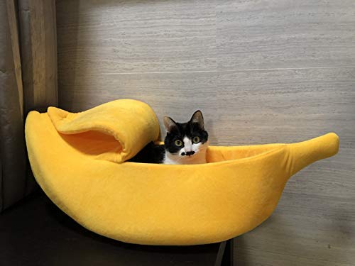 Cama de plátanos para mascotas