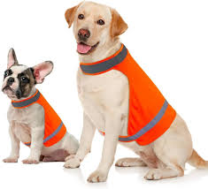 Chaleco reflectante para perros M