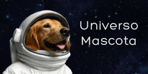 Universo Mascota – Donde tu mascota es la estrella